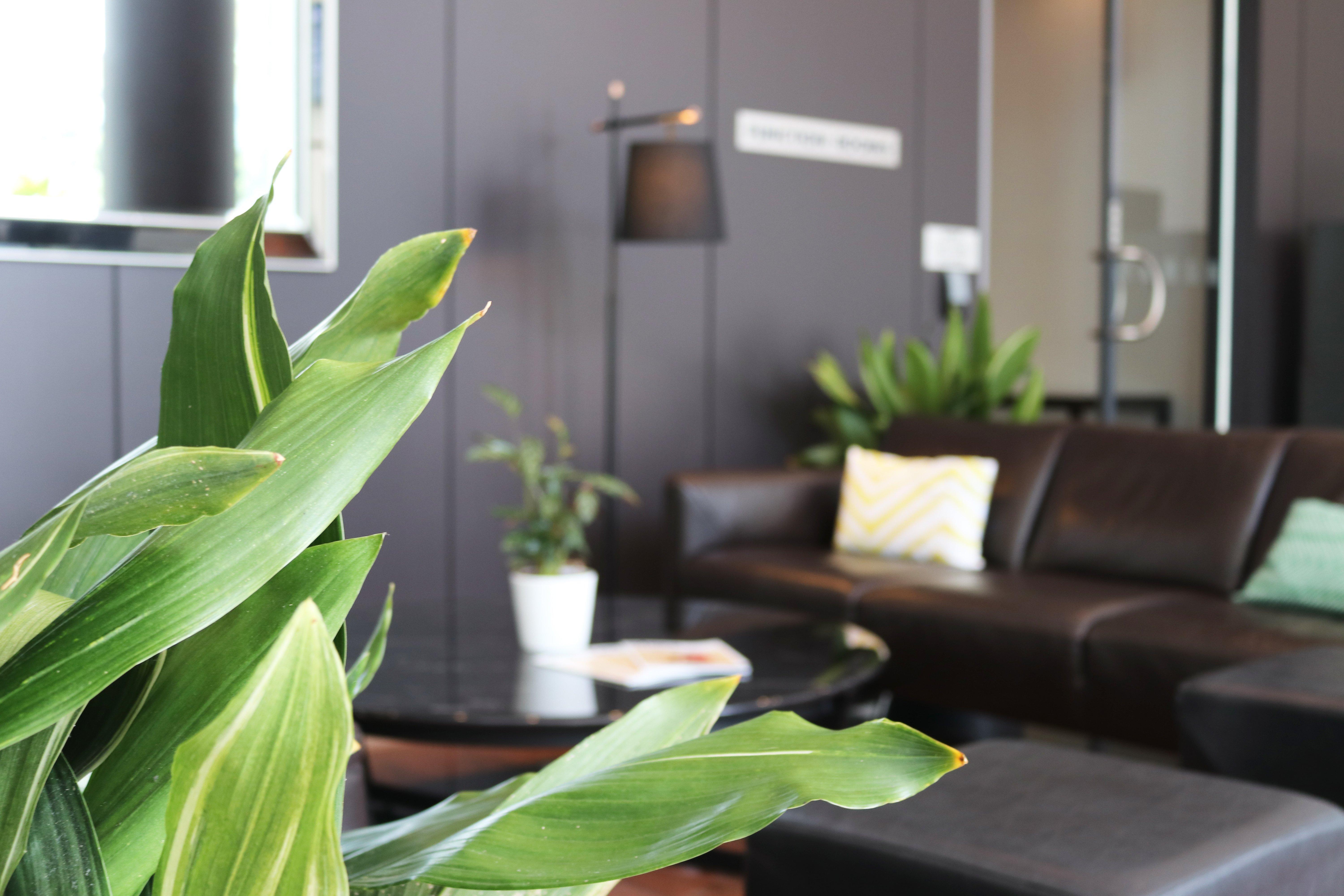 Crowne Plaza Sydney Airport By Ihg Hotel Exterior foto